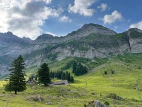 E25 Teufen - Neyruz CH